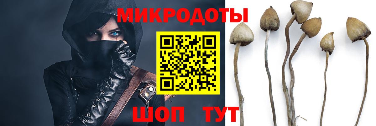 Прокопьевск  Псилоцибиновые грибы MAGIC MUSHROOMS  Псилоцибиновые грибы Cubensis  Вход с VPN 